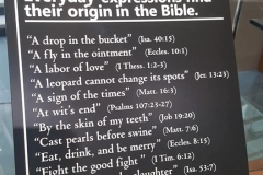 24 Common Expressions with origin in bible