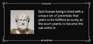 2 640 Aristotle Acorn become Oak within