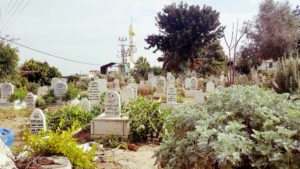 No Joshua found in Mash'had but did find this beautiful Islamic Cemetery!